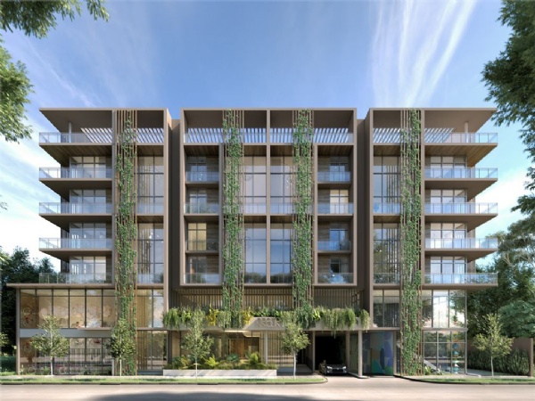 Arbor - Miami Beach New Construction