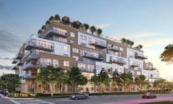 42 Pine