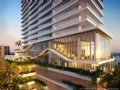 Cove Miami